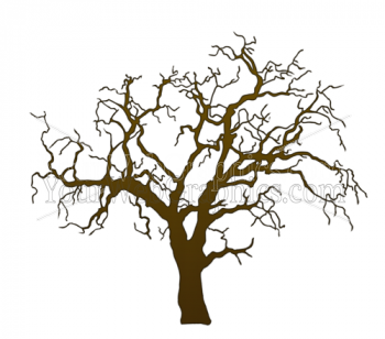 illustration - tree_leafless_2-png